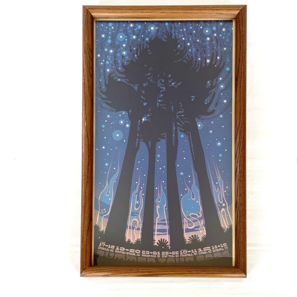 Phish Summer 2004 Scott Campbell Art Print Wood Framed 18x11 Poster